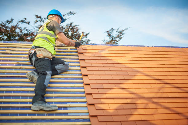 Best Asphalt Shingle Roofing  in Raoul, GA
